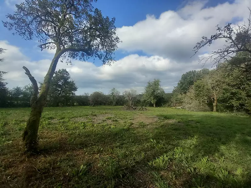 Maison, 122,85 m²