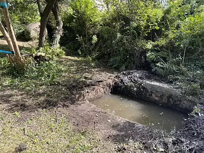 Terrain, 980 m²