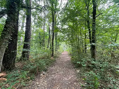Terrain, 13 907 m²
