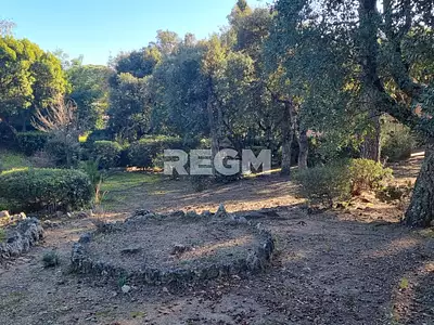 Terrain, 1 345 m²