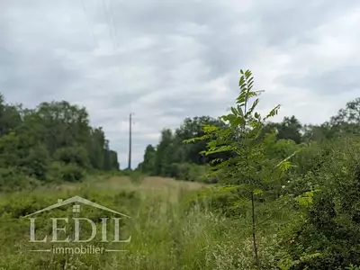 Terrain, 10 000 m²