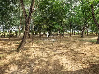 Maison, 174,31 m²