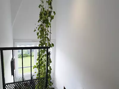 Maison, 146 m²
