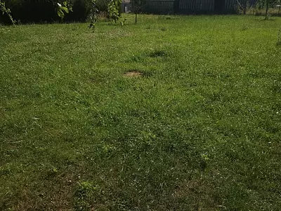 Terrain, 1 241 m²