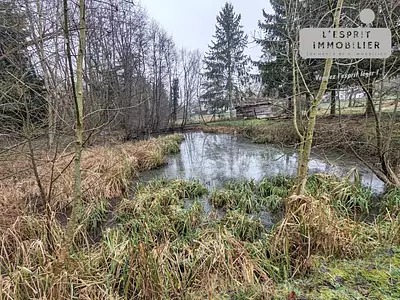 Terrain, 2 400 m²