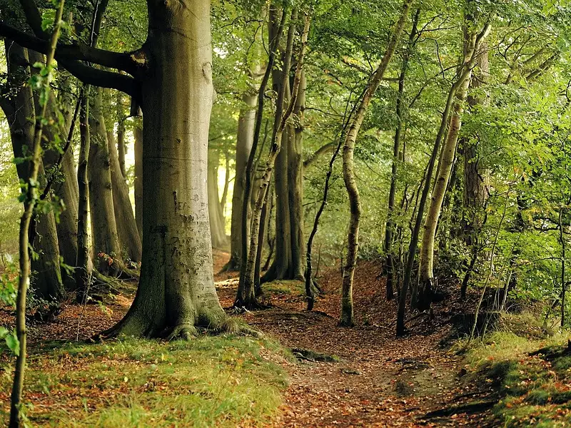 Terrain, 406 130 m²