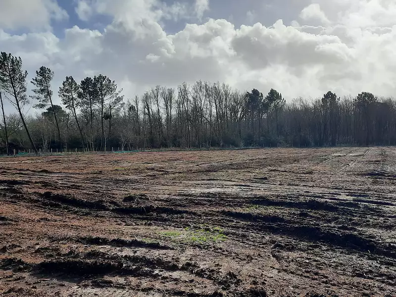 Terrain à bâtir, 800 m²