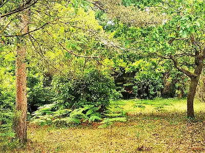 Maison, 156 m²