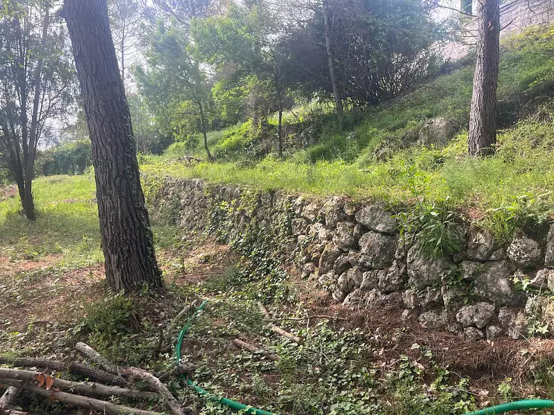 Terrain, 800 m²