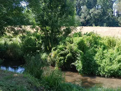 Terrain, 699 m²