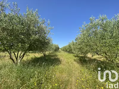 Terrain, 105 426 m²