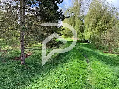 Terrain, 11 780 m²