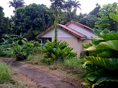 Maison, 98 m²