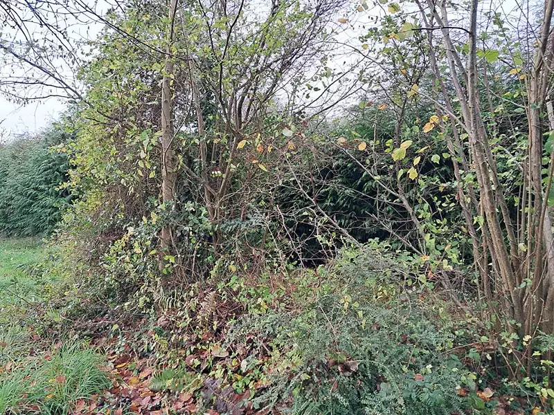 Terrain, 800 m²