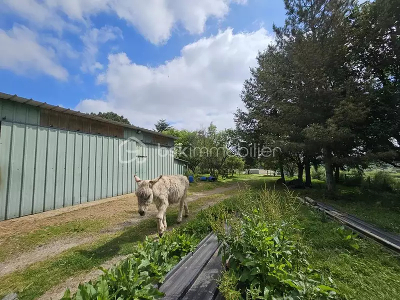 Maison, 130 m²