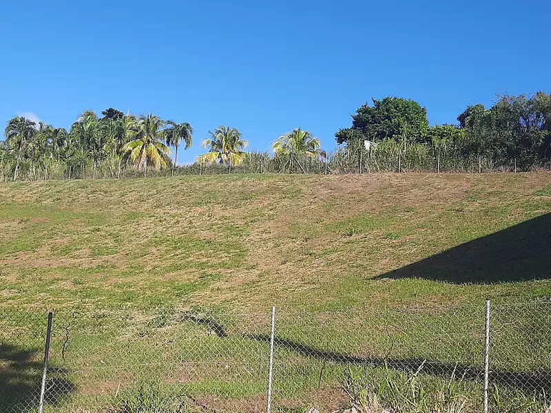 Terrain, 1 247 m²