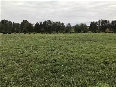 Terrain, 1 265 m²