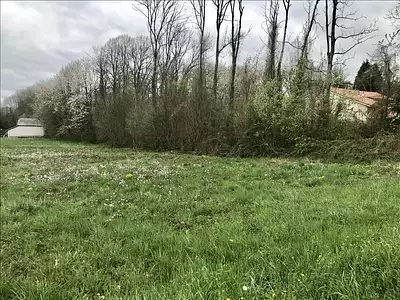 Terrain, 1 699 m²