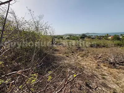 Terrain, 3 565 m²