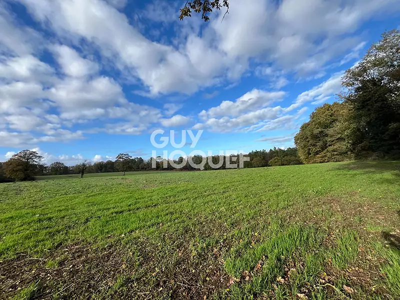 Terrain, 236 840 m²