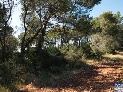 Terrain, 42 302 m²
