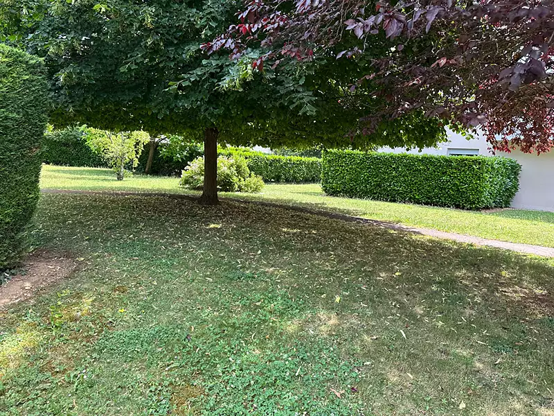 Appartement, 49,67 m²