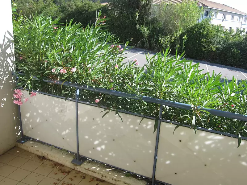 Appartement, 37,74 m²