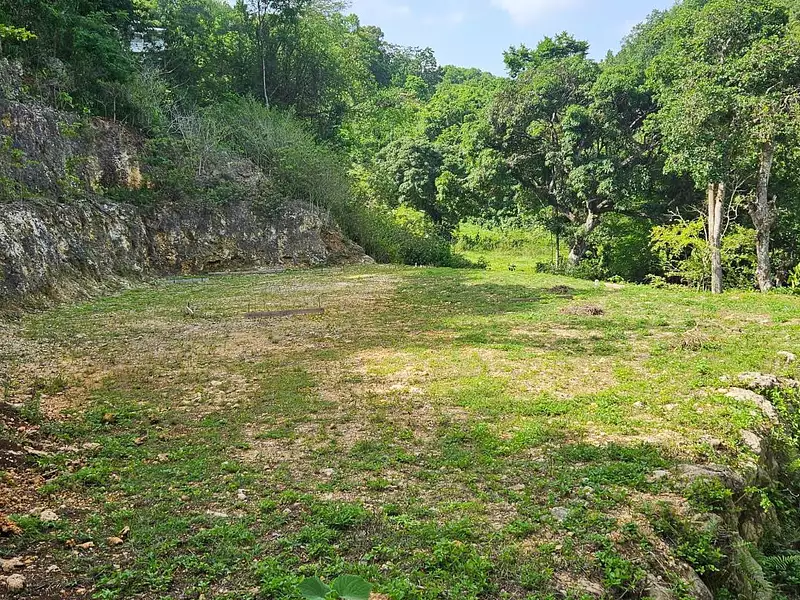 Terrain, 1 000 m²
