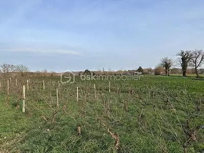 Terrain, 547 m²