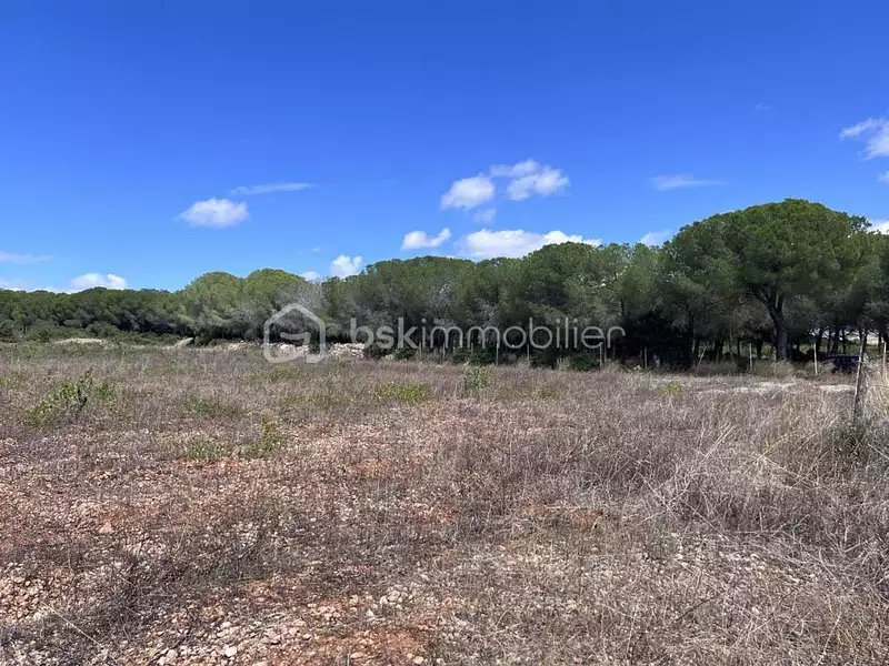 Terrain, 161 250 m²