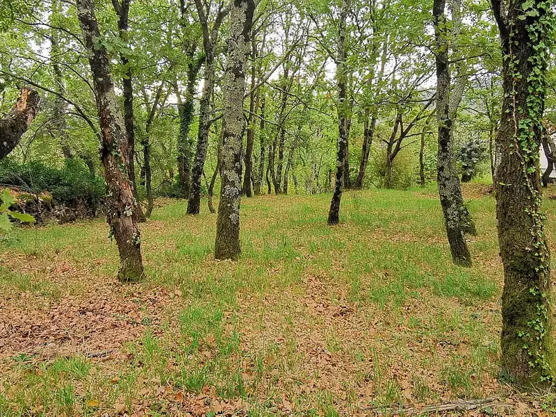 Terrain, 720 m²