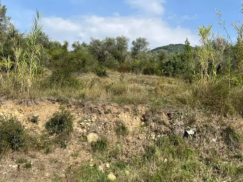 Terrain, 1 143 m²