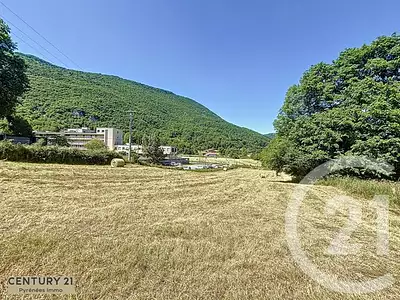 Terrain