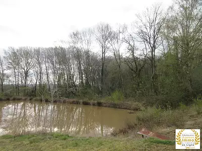 Terrain, 80 000 m²