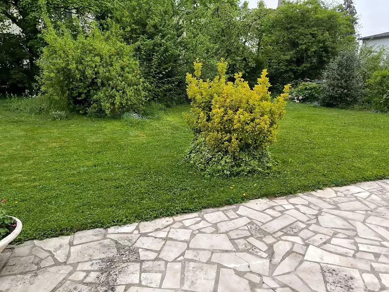 Maison, 220 m²