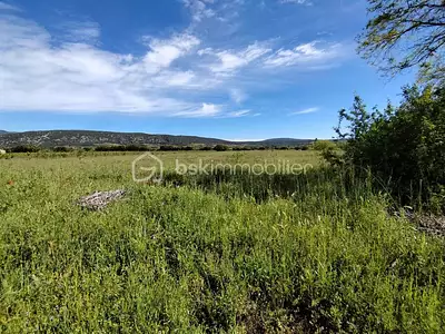 Terrain, 11 536 m²