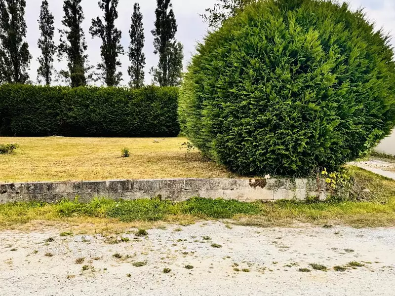 Terrain, 703 m²