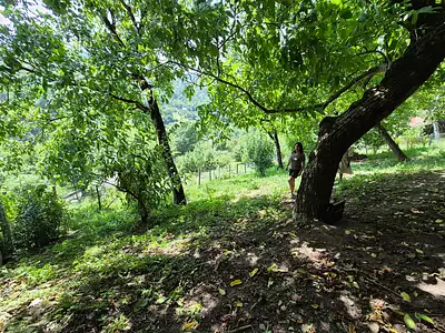 Maison, 48 m²