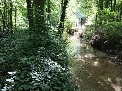 Terrain, 3 133 m²