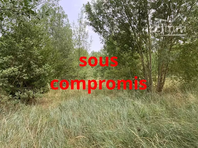 Terrain, 44 000 m²