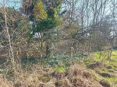 Terrain, 960 m²