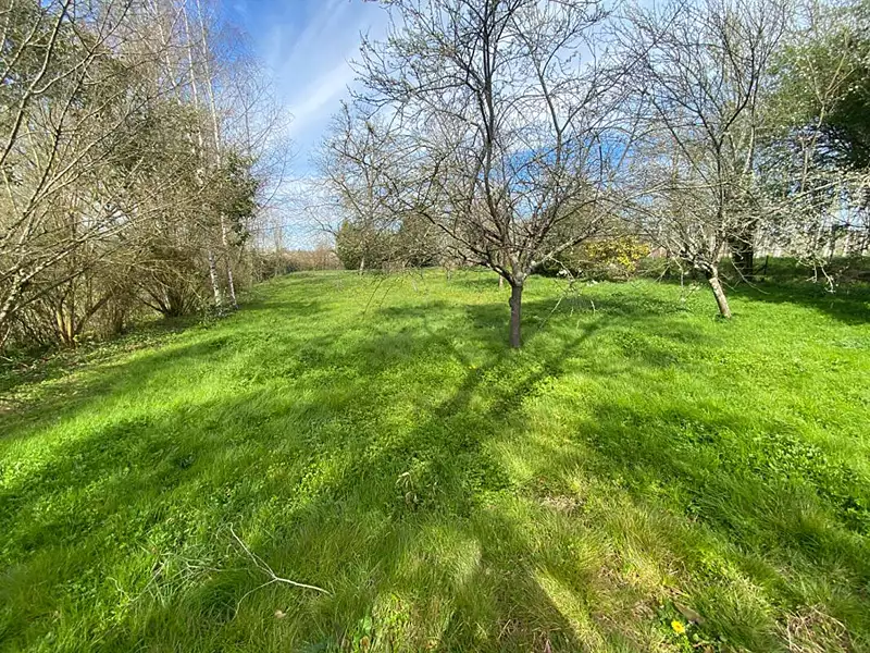 Maison, 300 m²