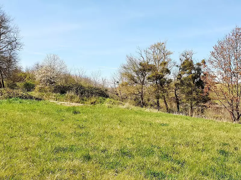 Terrain, 781 m²