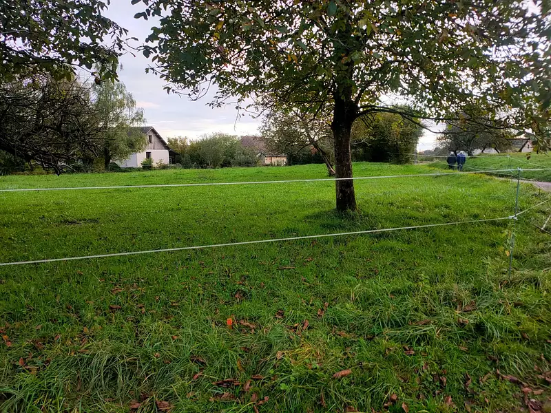 Terrain, 1 365 m²