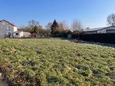 Terrain