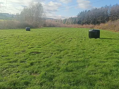 Terrain, 6 205 m²