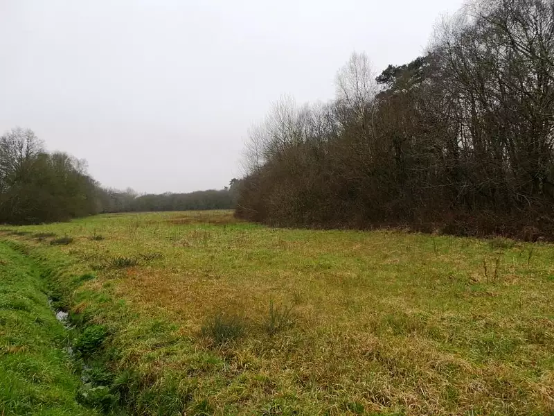 Maison, 160 m²