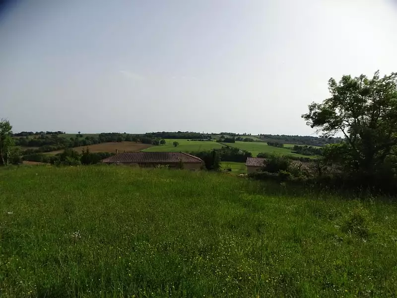Terrain, 1 250 m²