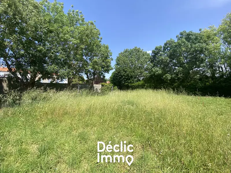 Terrain, 463 m²