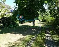 Terrain, 972 m²